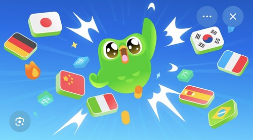 Duolingo super 12 monate - super, |